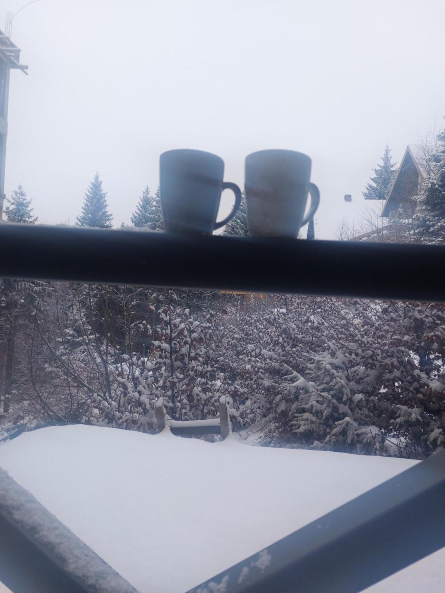Apartman Milly Kopaonik Eksteriør bilde